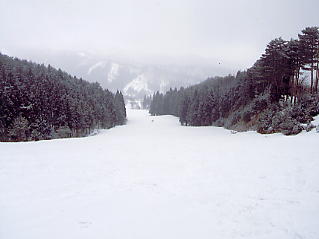 ���������h�F�X�L�[