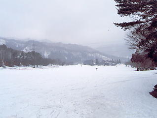 ���������h�F�X�L�[