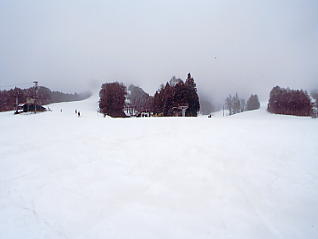 ���������h�F�X�L�[