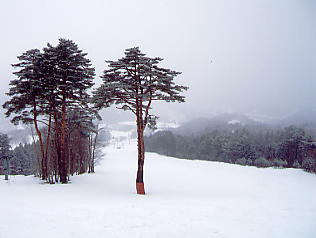 ���������h�F�X�L�[