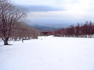 �����X�L�[�F����