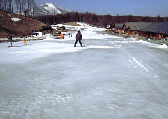 ����X�L�[