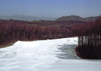 �y���X�m�[�p�[�N