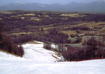 �y���S���t��