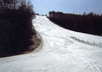 �y���X�m�[�p�[�N