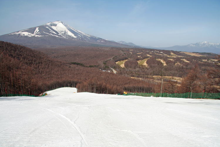 �S���t�R�[�X