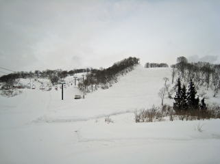 ��������y��