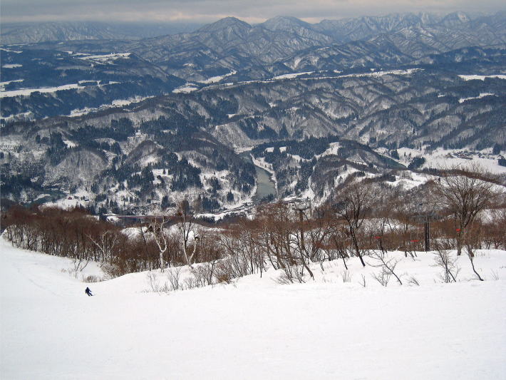 ��������y��