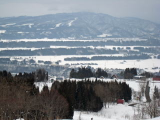 �}�E���e���p�[�N�Ó�