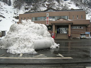 �}�E���e���p�[�N�Ó�