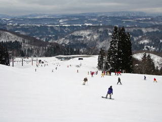 ��������y��