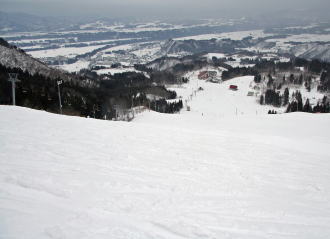 �}�E���e���p�[�N�Ó�