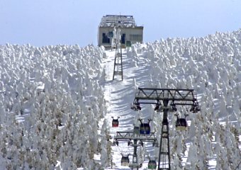 �����̎��X