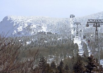 �����@���X