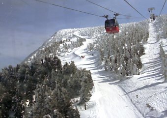 �U���Q��