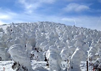 �����@���X