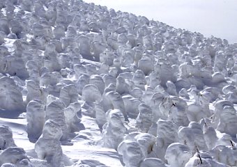 �����@���X