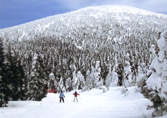 �����@���X