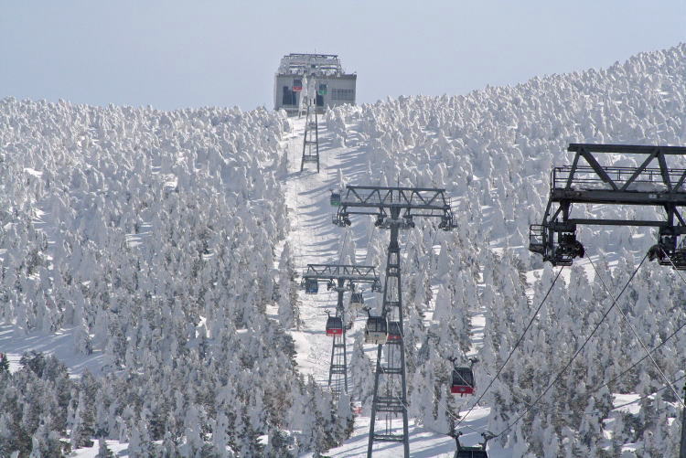 �����@���X