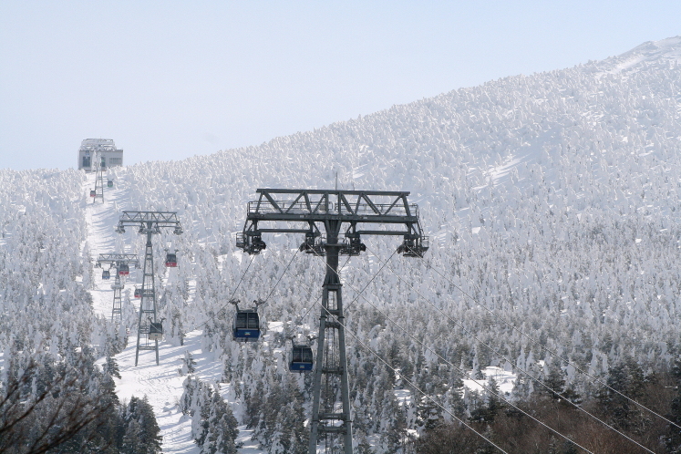 �����@���X