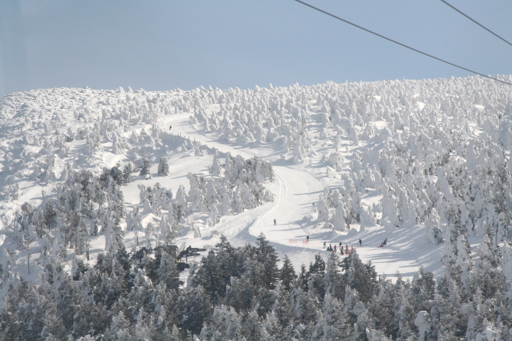 �����@���X