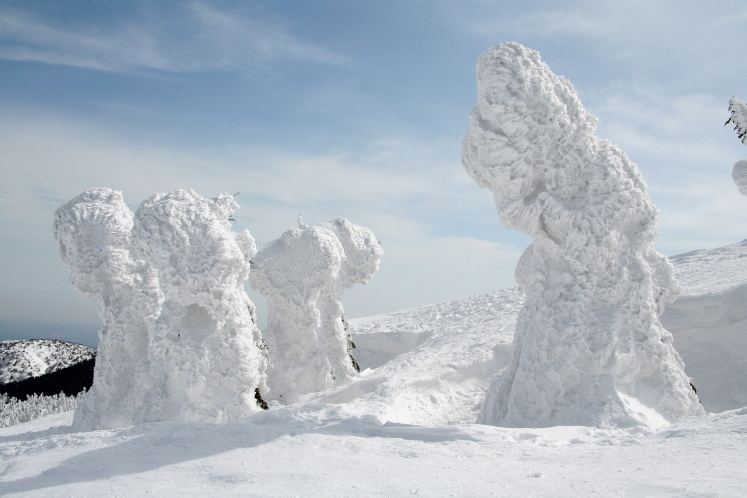 �����@���X