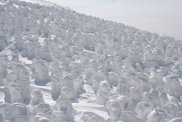 ���X�i�����X�^�[�j