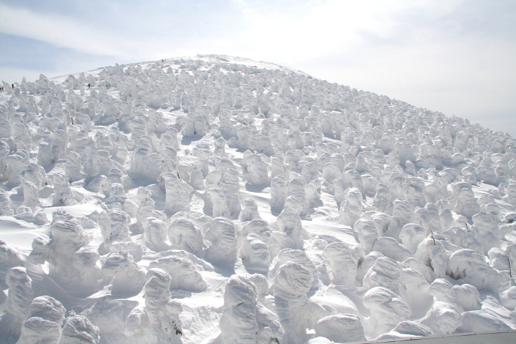 �����@���X