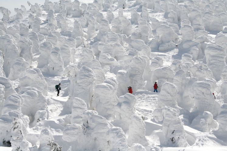 �����@���X