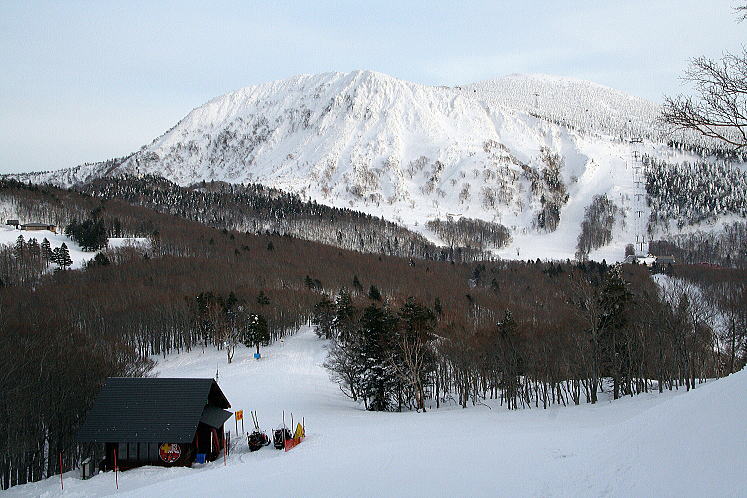 �����@���X