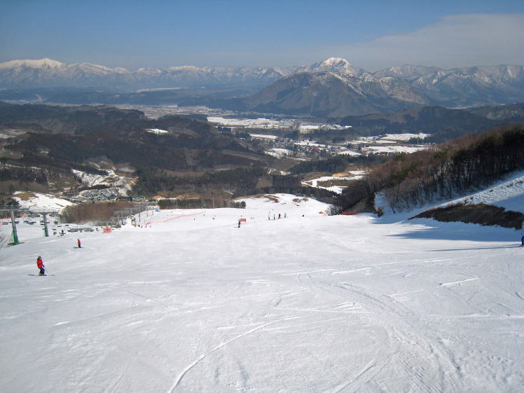 �R�`�ԑq����