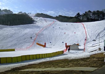 ��܂����ԑq����X�L�[��