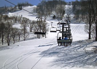 ���������@�W�����O���W�����O��