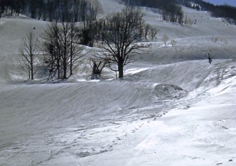 ���������@�W�����O���W�����O��