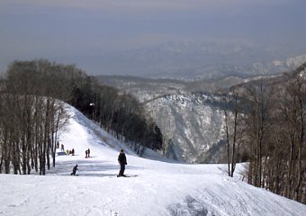 ���������@�W�����O���W�����O��