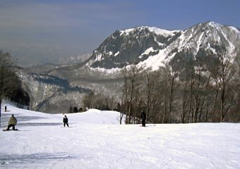 ���������@�W�����O���W�����O��