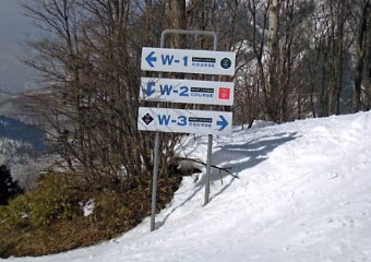 ���������@�W�����O���W�����O��