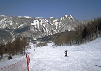 ���������@�W�����O���W�����O��