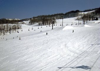 ���������@�W�����O���W�����O��