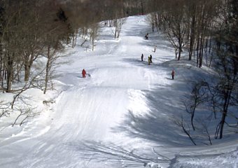 ���������@�W�����O���W�����O��