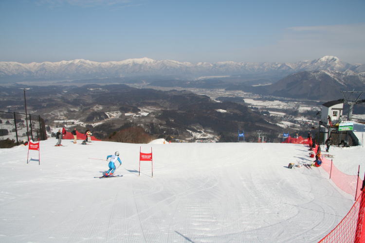 �R�`�ԑq����