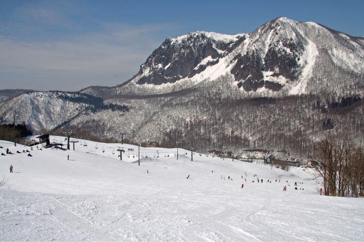 ���������@�W�����O���W�����O��