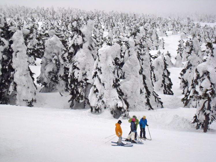 �������C�U�̎��X