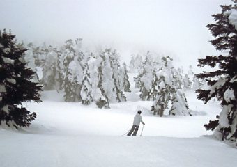 �������C�U