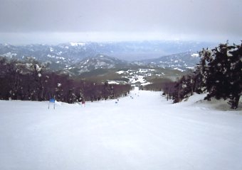 �������C�U