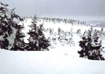 �������C�U