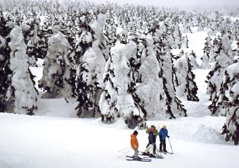 �������C�U