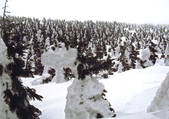 �������C�U