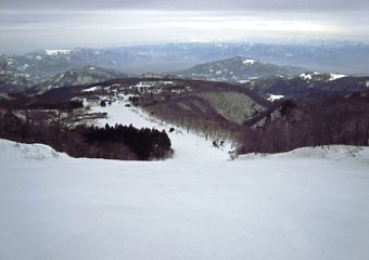 �������C�U