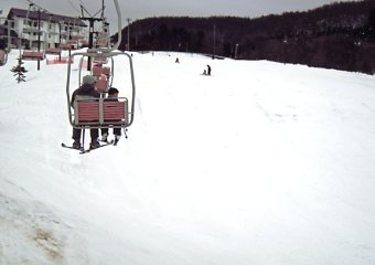 �������q